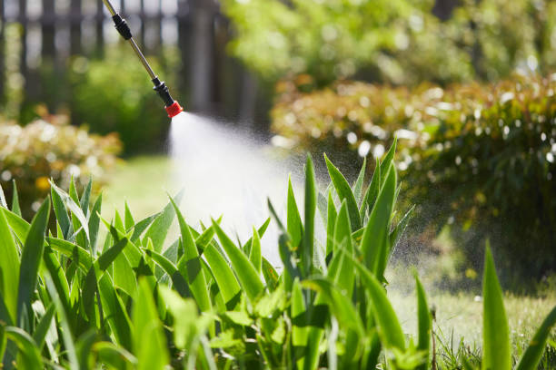 24/7 Emergency Ant Control experts in Lexington, IL